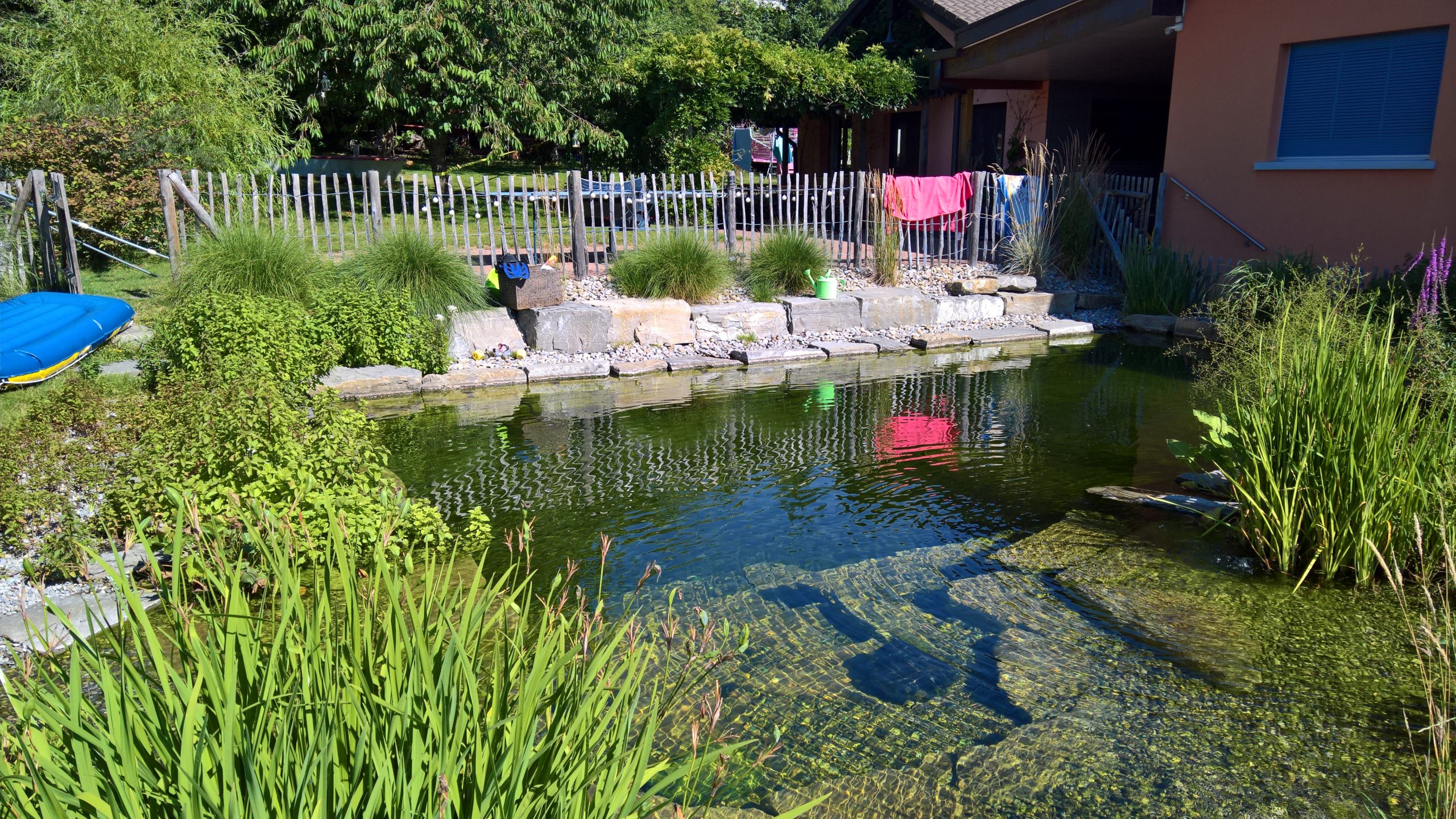 Nos réalisations etang baignade (3)