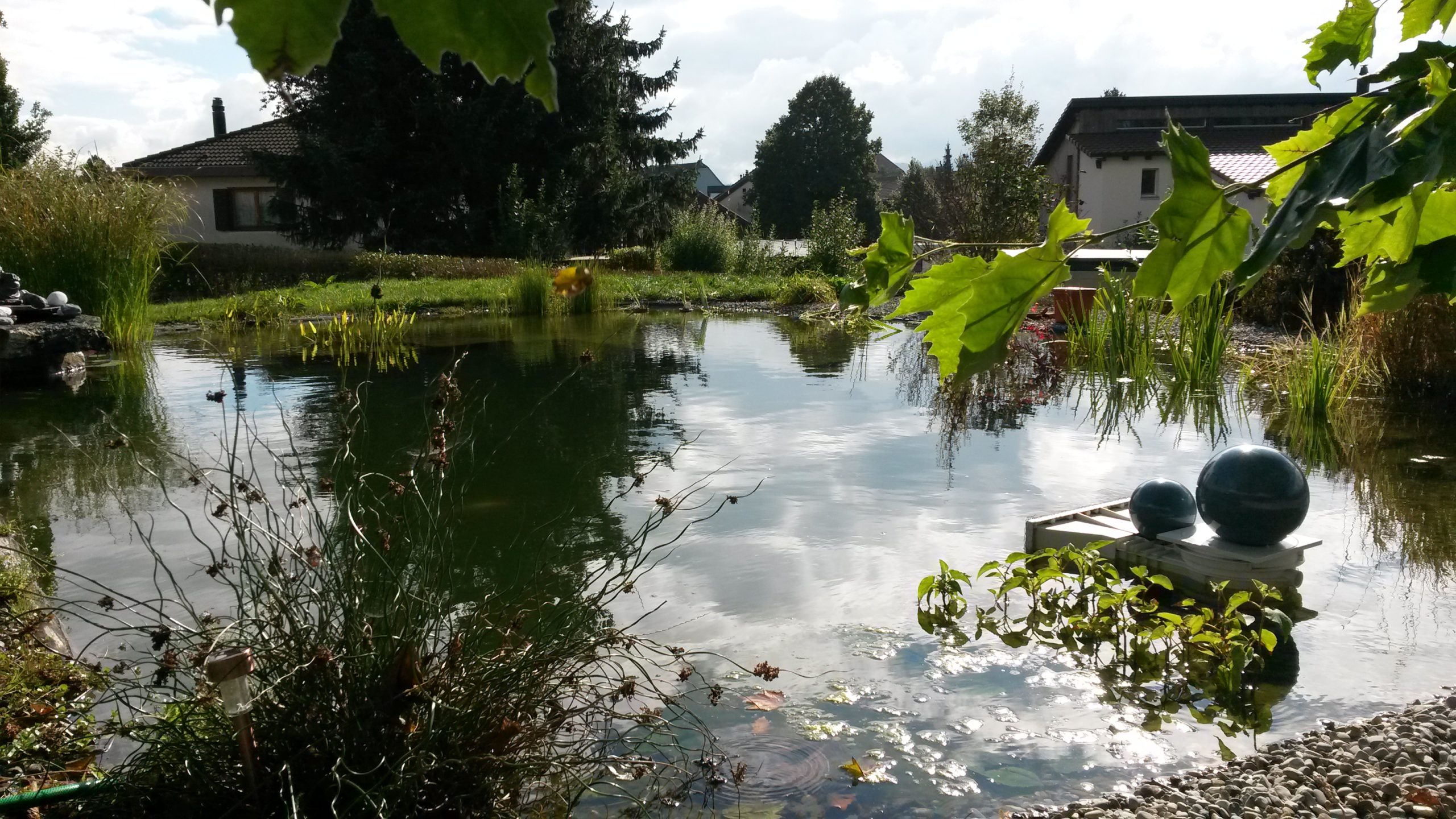 Nos réalisations Étang de baignade